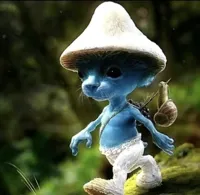 Blue Smurf cat