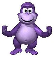 Bonzi Birthday