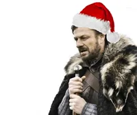 brace yourself Christmas is coming