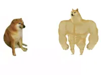 buff doge vs cheems reversed