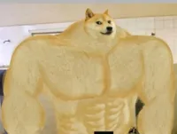 Buff Doge