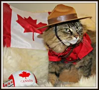 Canada Cat