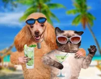 Cat and Dog Sipping Cocktails