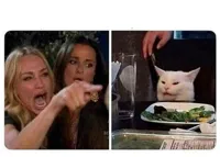 Cat at Dinner