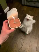 cat birthday candle