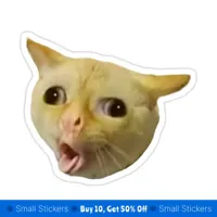 cat coughing 