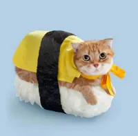 Cat Sushi