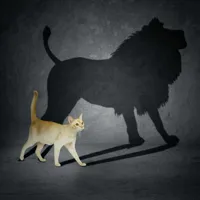 Cat with Lion Shadow