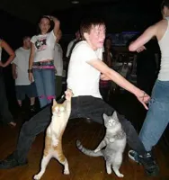 Cats Dancing