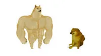 Chad doge