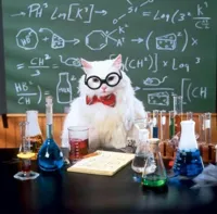 Chemistry Cat