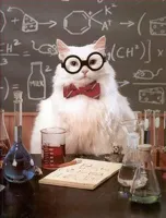 Chemistry Cat 2