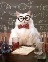 Chemistry Cat