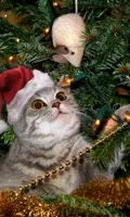 Christmas Cat stuck in a tree