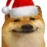 christmas doge