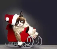 christmas grumpy cat