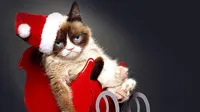 Christmas Grumpy Cat