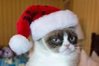 Christmas Grumpy Cat