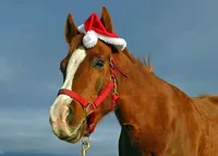 Christmas Horse