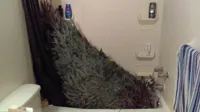 Christmas Tree Bath