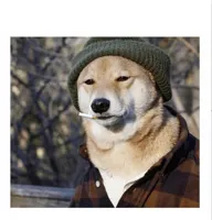 Cigarette doge