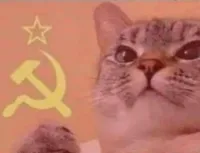 Communist cat