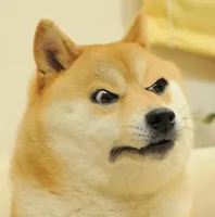 Confused Angery Doge