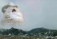 Country Cat