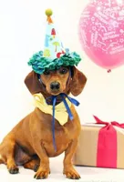 dachshund birthday