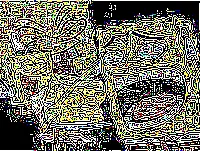 Deep Fried deep fried Spongebob laughing