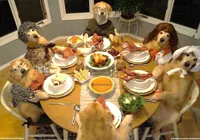 dog thanksgiving