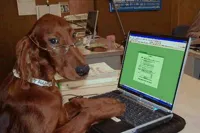 Dog with Glasses on Computer