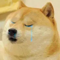 doge crying