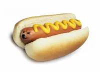 doge hot doge