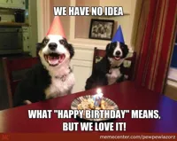 Dogs Birthday Wish