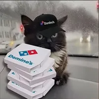 Dominos Cat