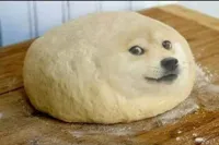 dough doge