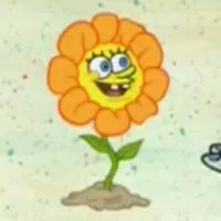 Flower Spongebob