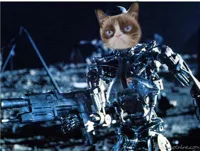 grump cat terminator