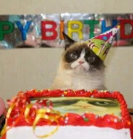 Grumpy Birthday Cat