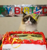 Grumpy Cat Birthday