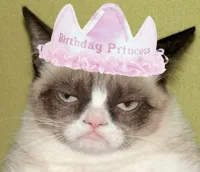 Grumpy cat birthday