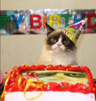 grumpy cat birthday