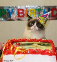 Grumpy Cat Birthday