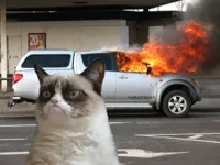 Grumpy Cat Car on Fire