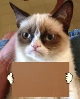 Grumpy Cat Cardboard Sign