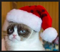 Grumpy Cat Christmas