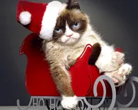 Grumpy Cat Christmas