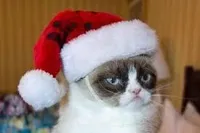 Grumpy cat christmas