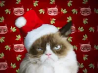 Grumpy Cat Christmas